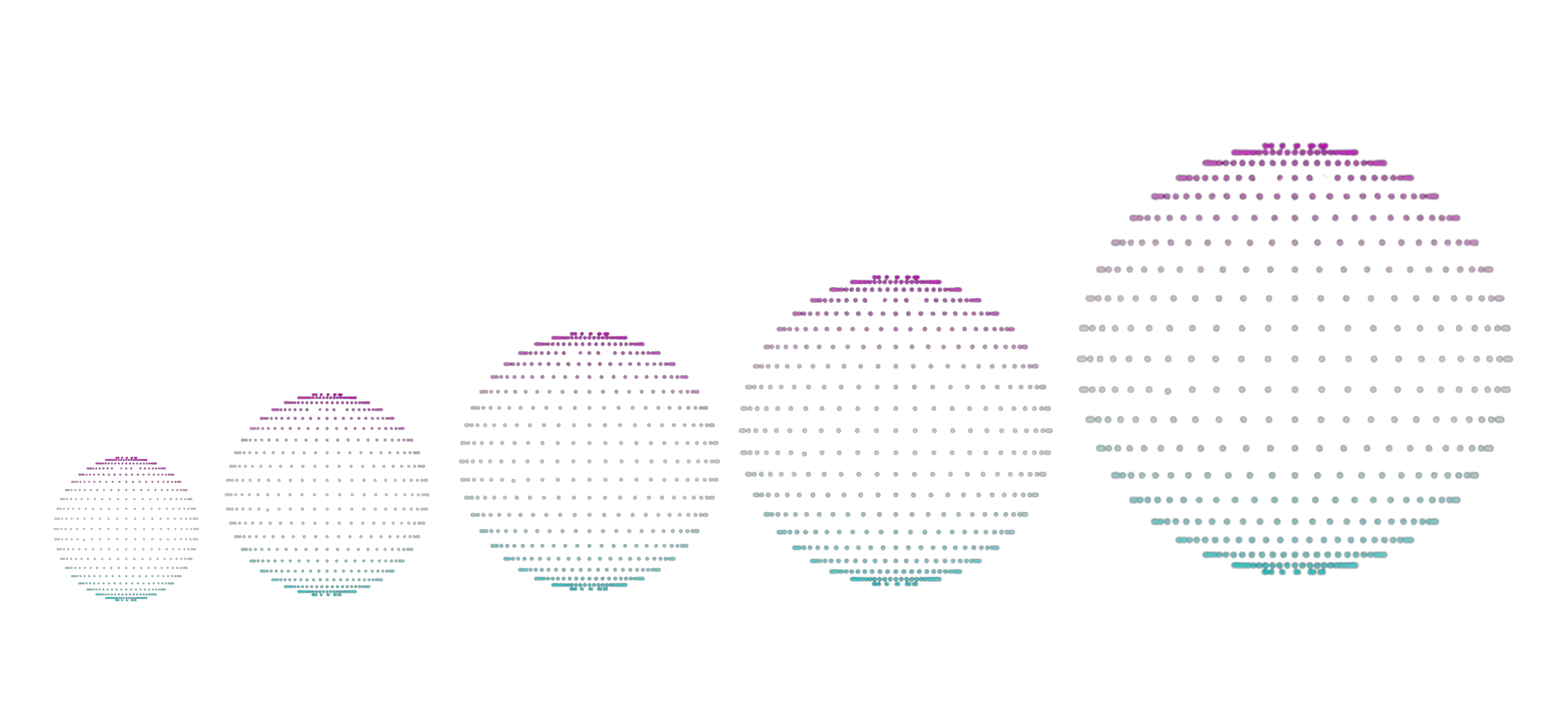 Show Performance